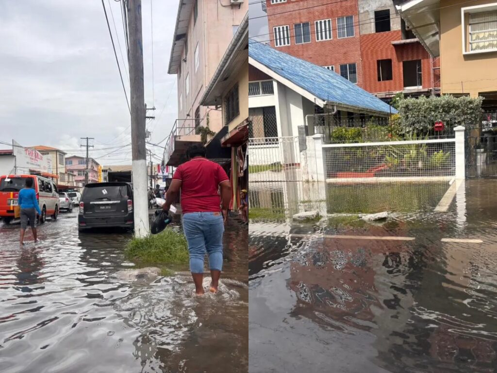 collage 2026 02 12T212516.049