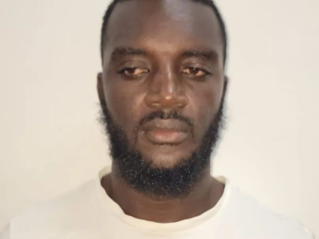 collage 2026 02 12T214524.790