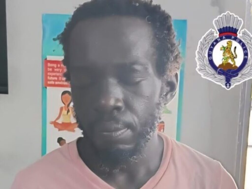 collage 2026 02 12T214816.348