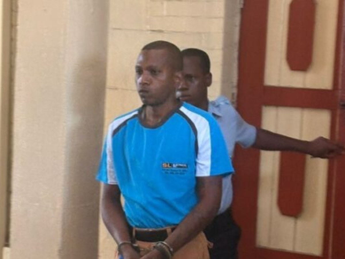 collage 2026 02 12T215133.516