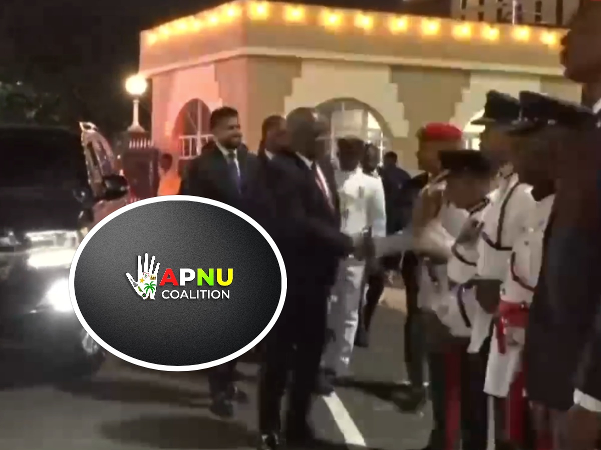 collage 2026 02 22T222037.627