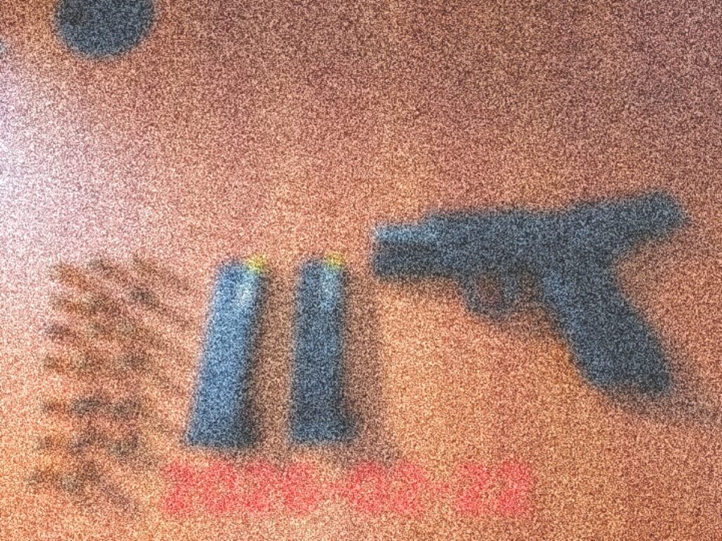 Police Investigate Alleged Discharging of Loaded Firearm on Robb Street; Suspect in Custody 2 collage 2026 02 23T121749.709