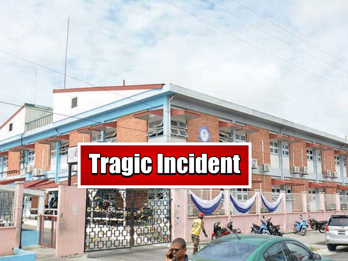 collage 2026 02 26T193422.092