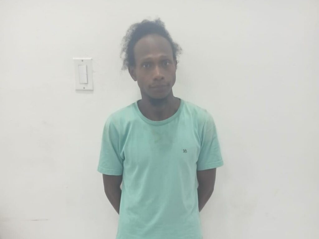 collage 2026 02 26T201512.147