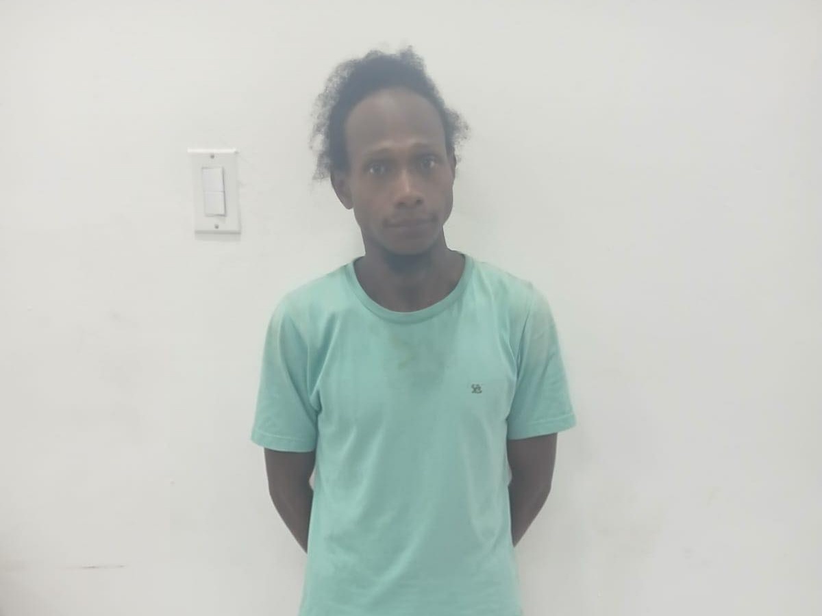 collage 2026 02 26T201512.147