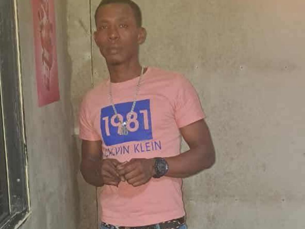 collage 2026 02 26T201658.533