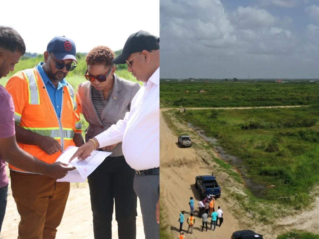 collage 2026 02 27T204624.115