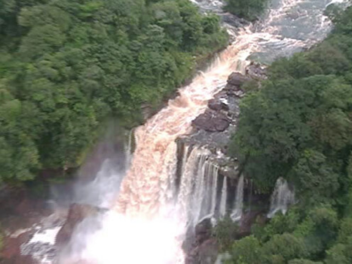 collage 2026 02 27T211041.590