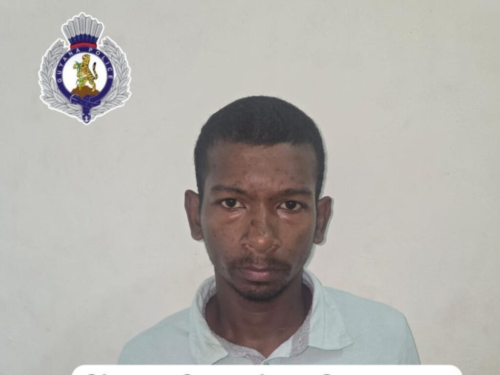 collage 2026 02 28T130314.909