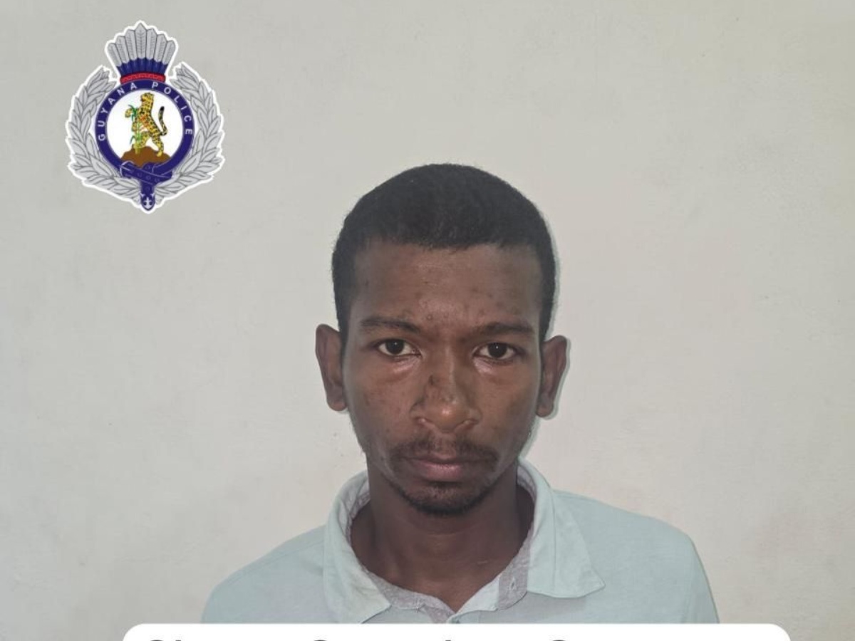 collage 2026 02 28T130314.909