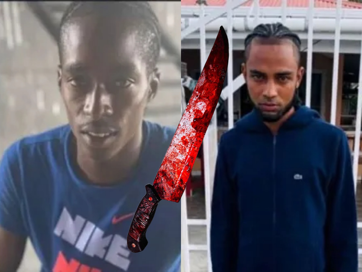 collage 2026 02 28T132754.071