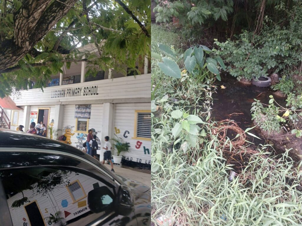 Concerns Raised After 6-Year-Old Girl Stung by Bees at Lusignan Primary School 2 collage 22 1