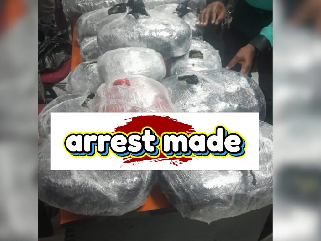 Office Clerk Arrested with 35.6 Pounds of Cannabis in Georgetown 2 collage 64