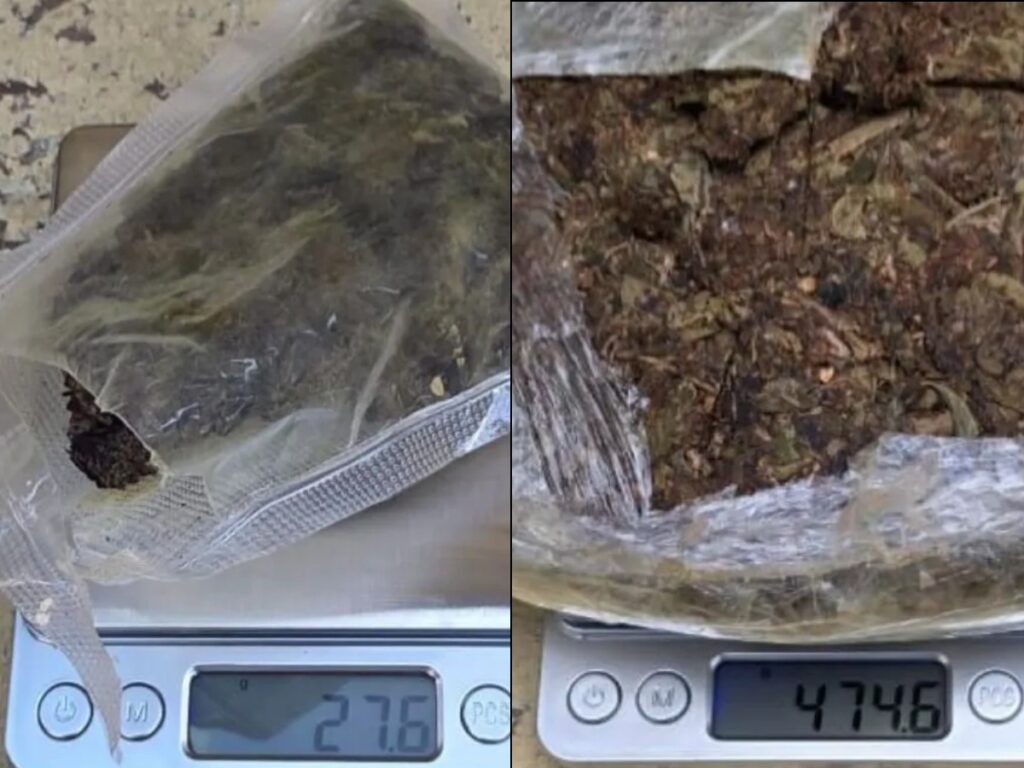 Prison Officer Arrested with Over 500 Grams of Cannabis at Mazaruni Prison 2 collage 73