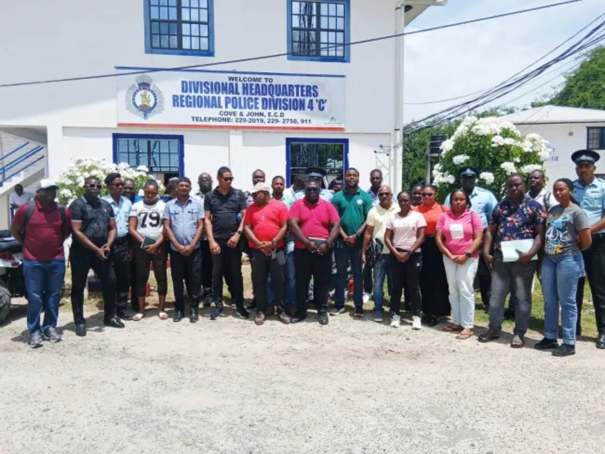 collage 2026 03 01T144812.937