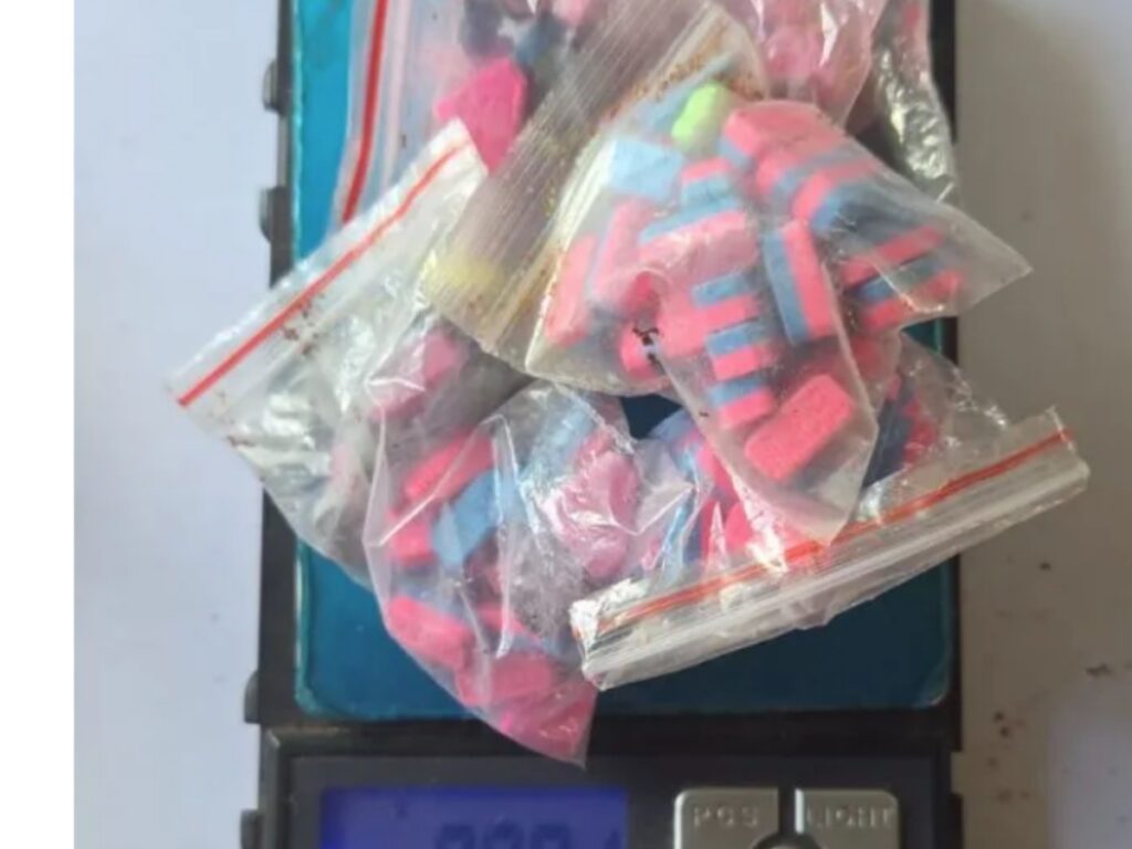 collage 2026 03 02T161657.109