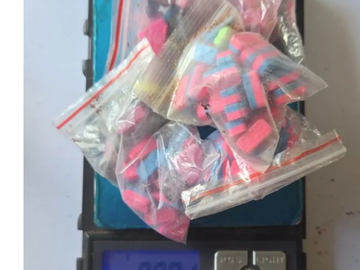 collage 2026 03 02T161657.109