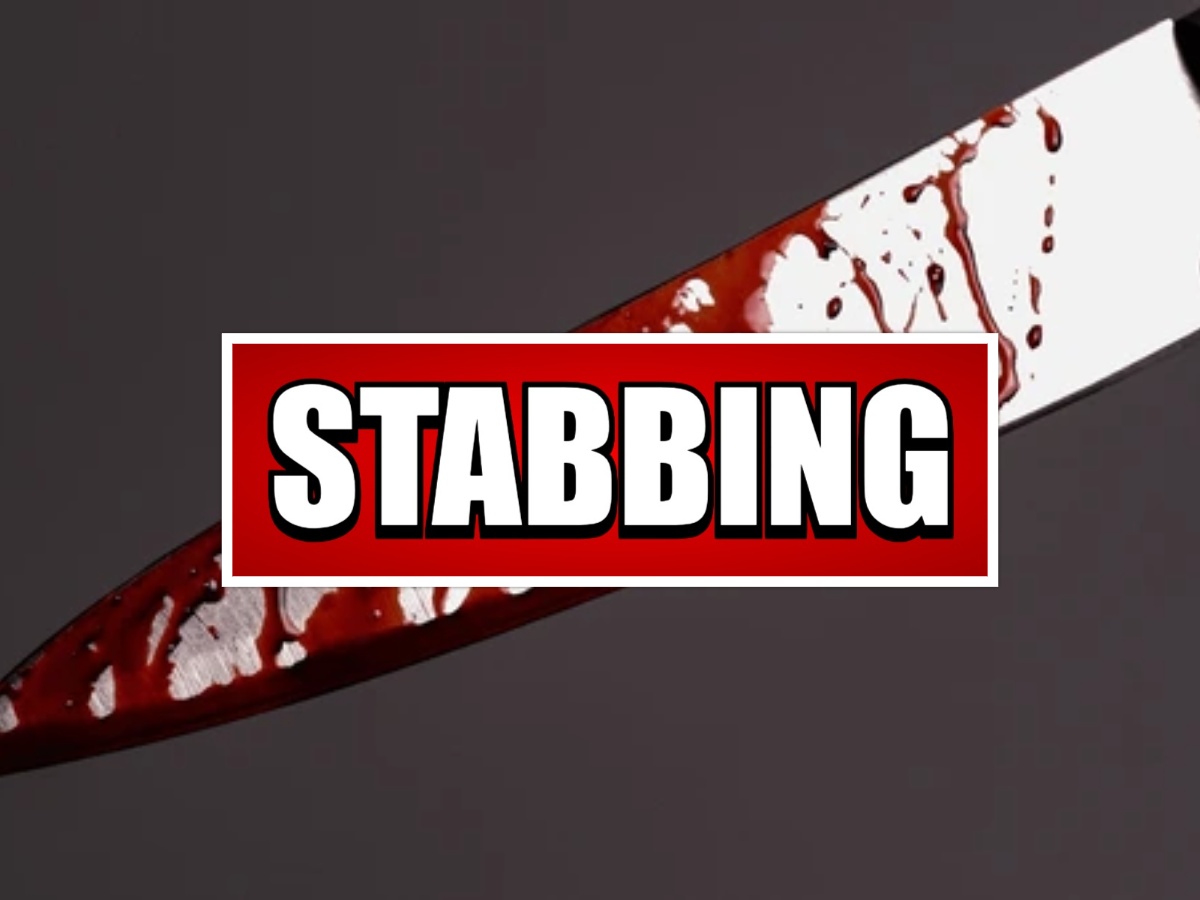 collage 2026 03 02T163205.980