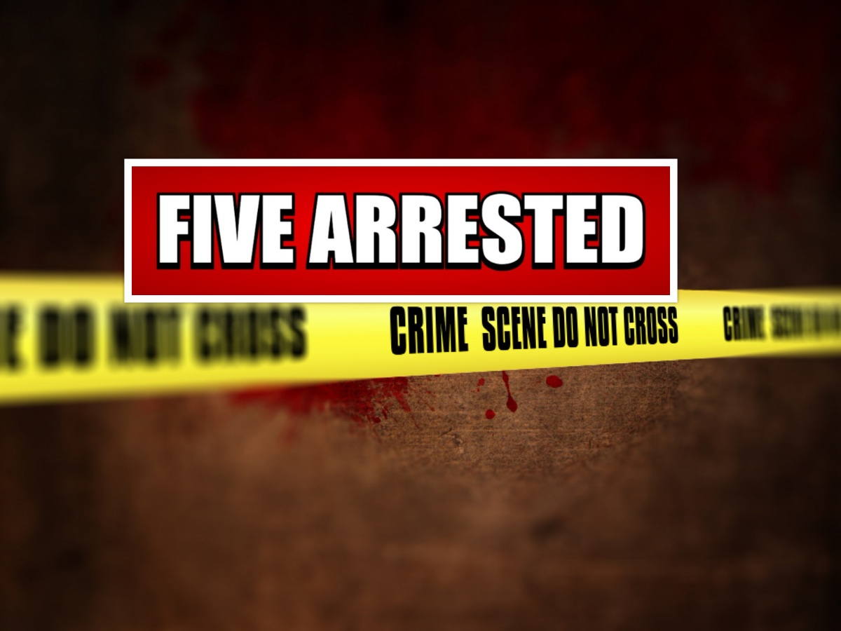 collage 2026 03 02T163536.448