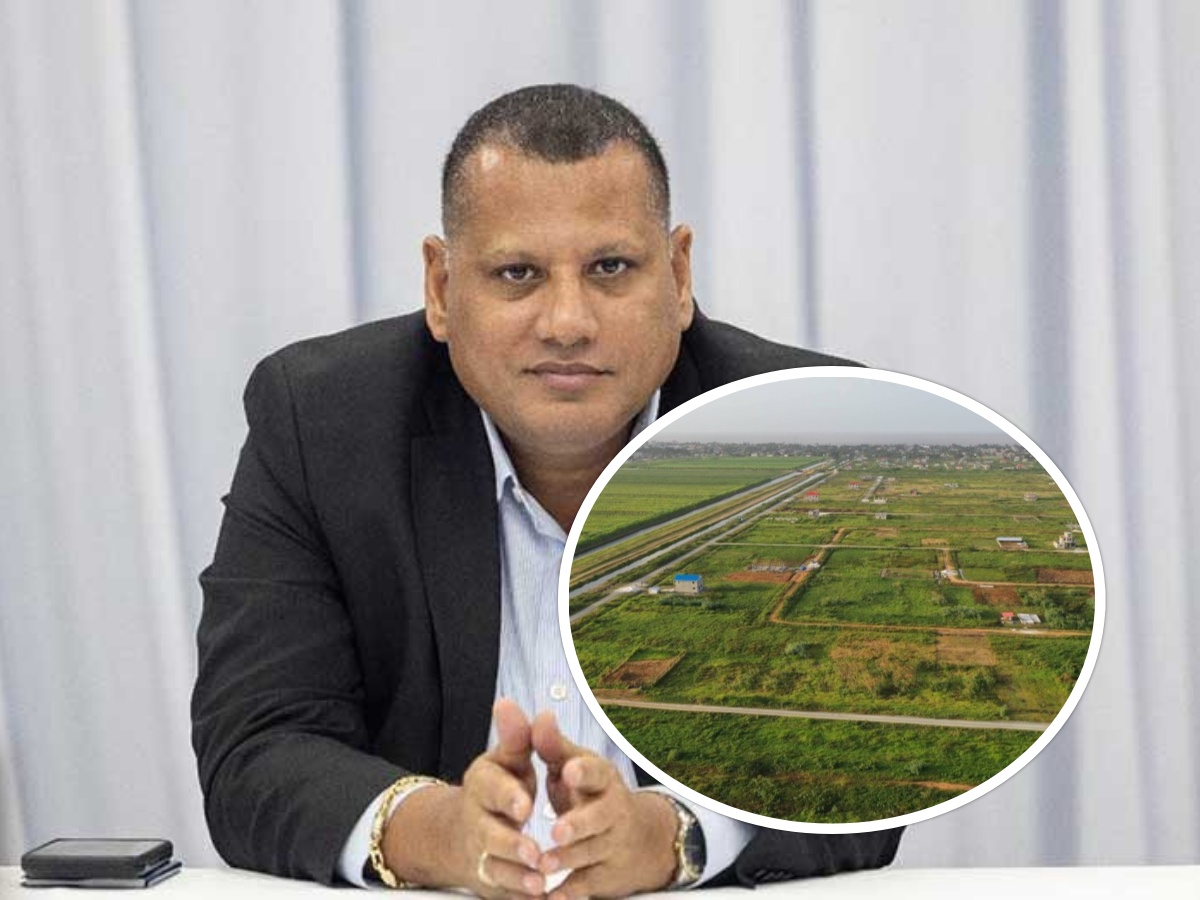 collage 2026 03 02T165914.707