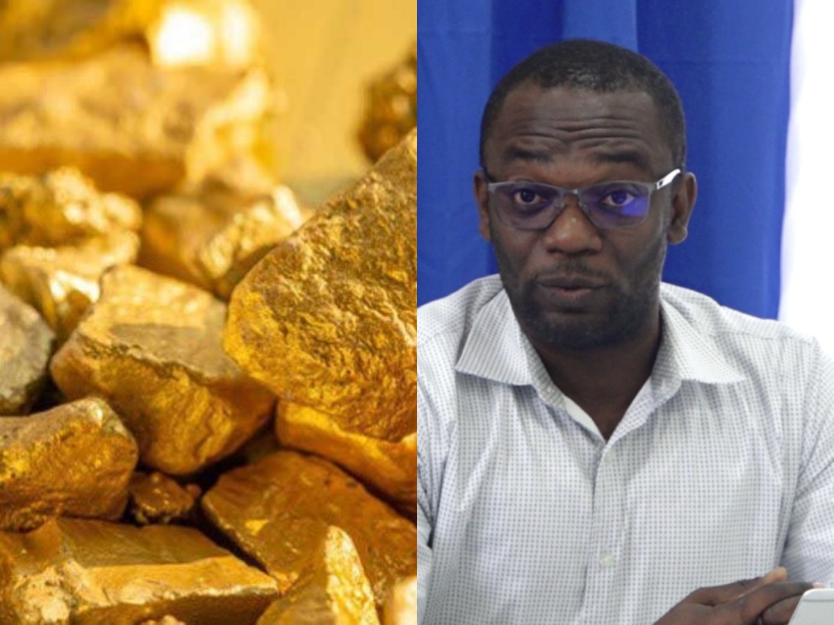 collage 2026 03 02T201128.055