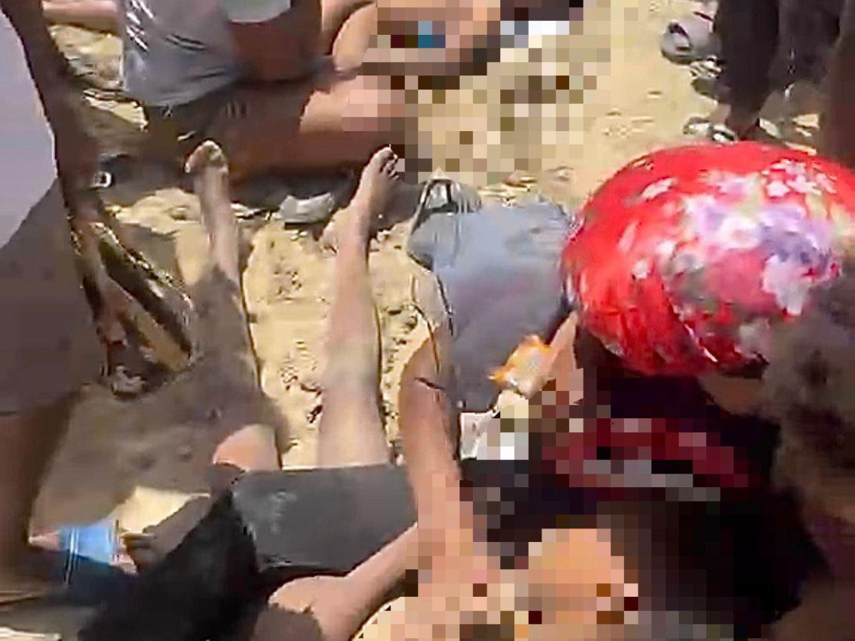 collage 2026 03 03T120335.234