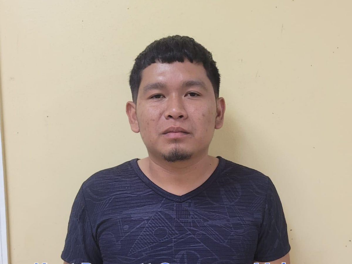 collage 2026 03 03T191758.740