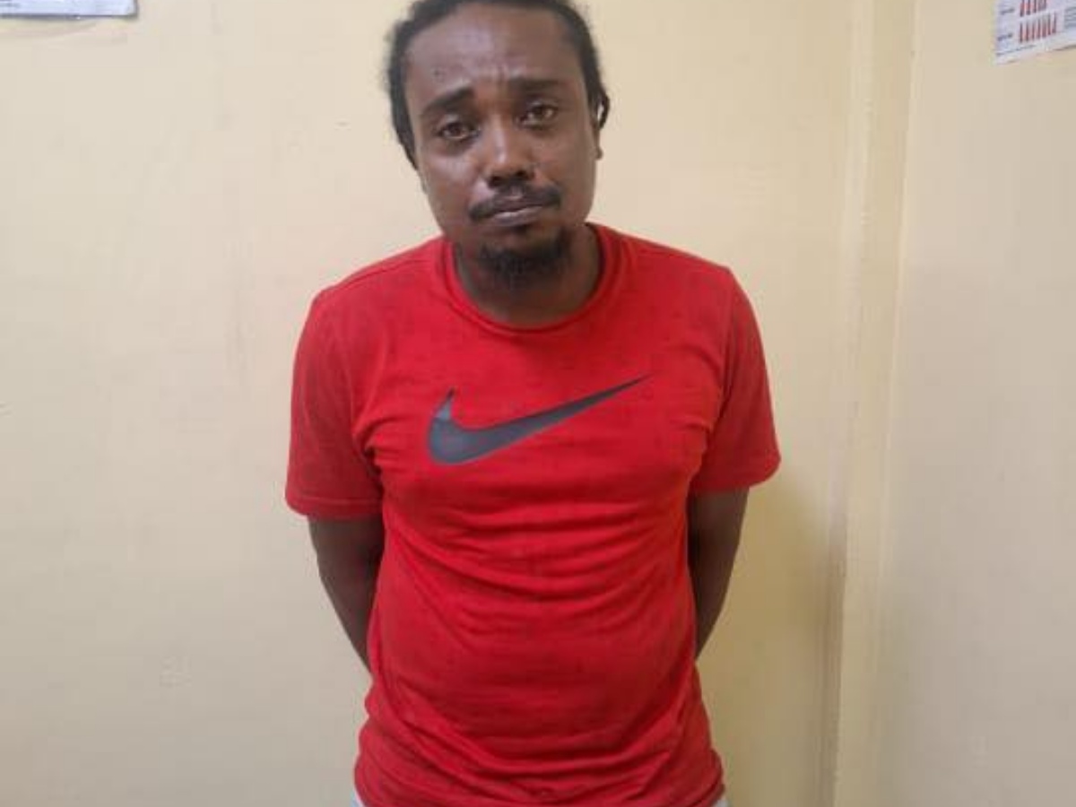 collage 2026 03 03T192530.841