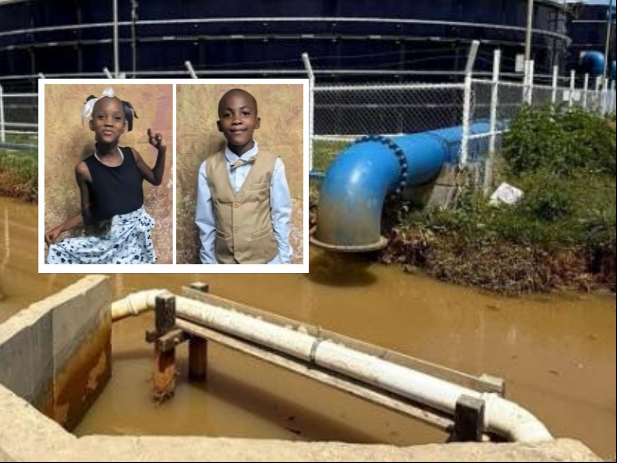 collage 2026 03 03T193607.796