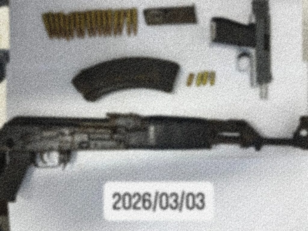 collage 2026 03 04T134114.833