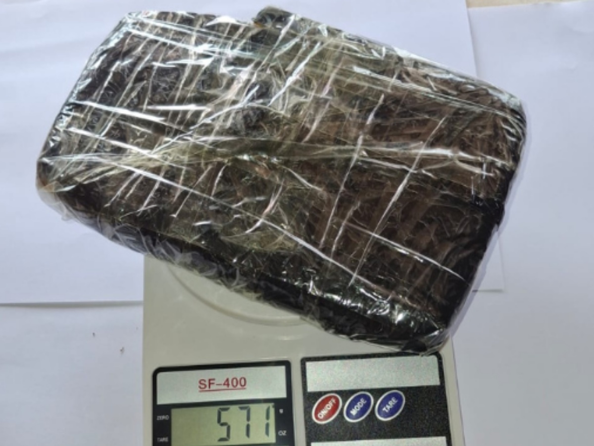 collage 2026 03 04T134812.071