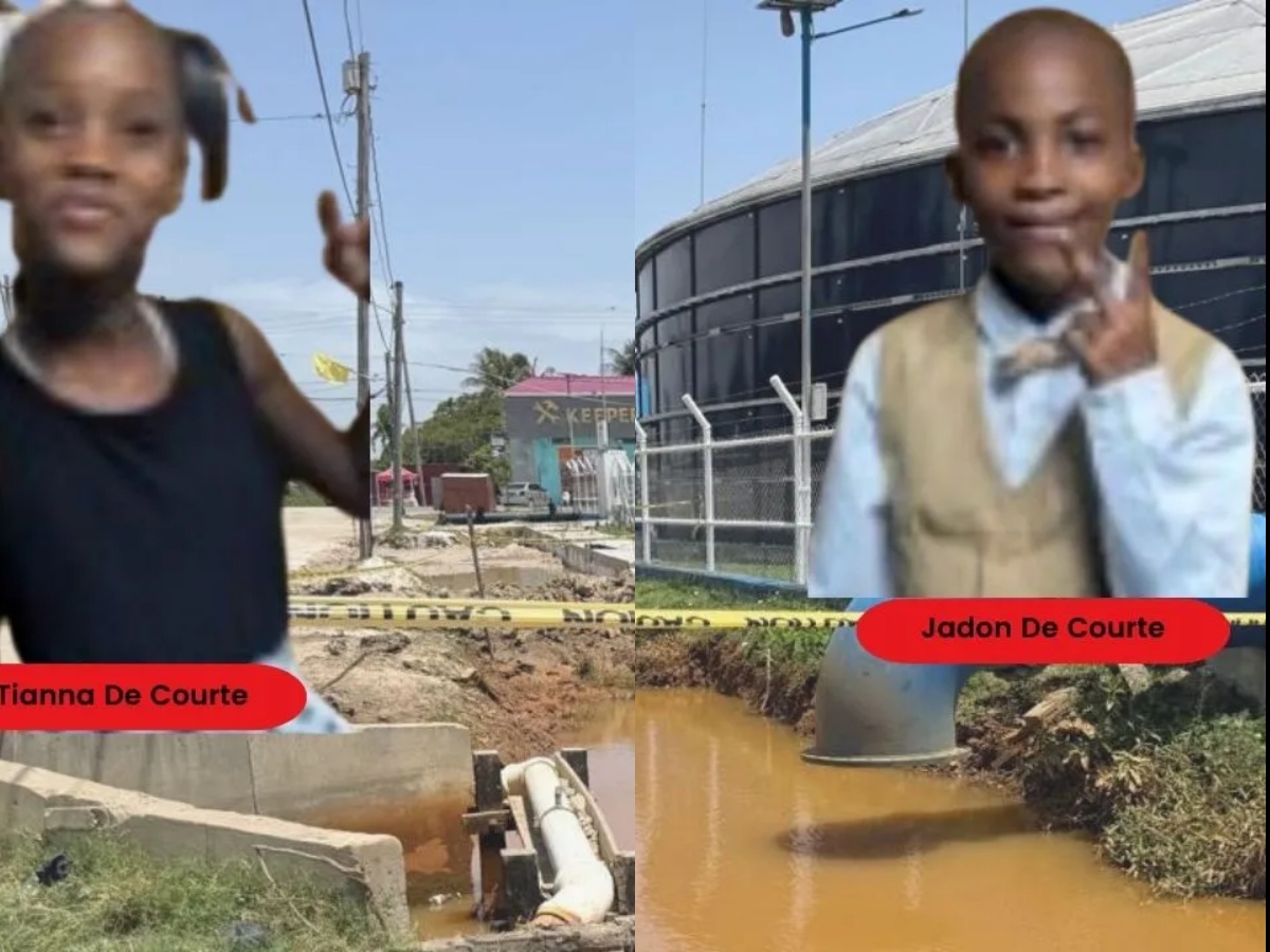 collage 2026 03 04T184622.416