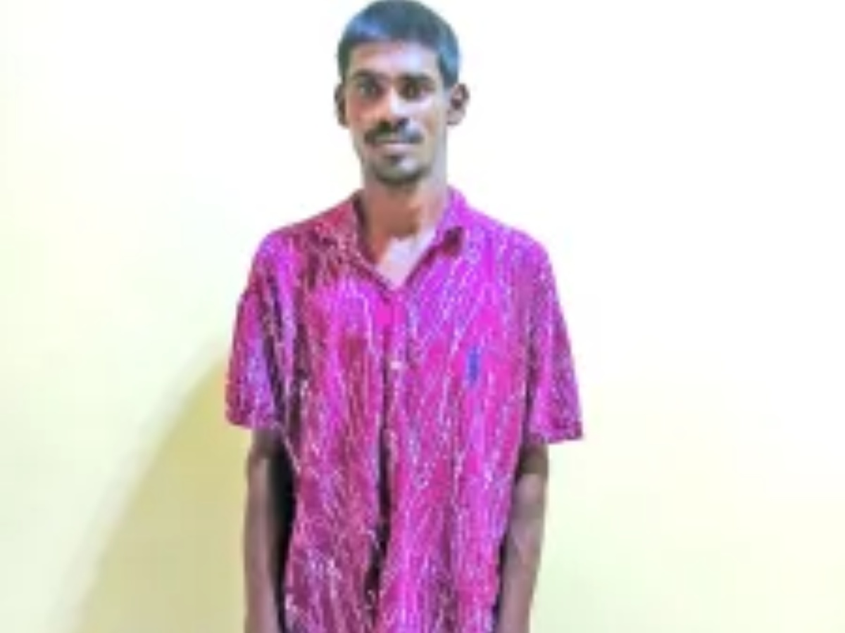 collage 2026 03 04T185631.565