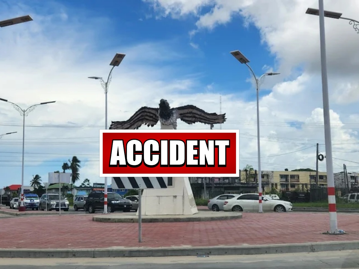 collage 2026 03 05T114510.056