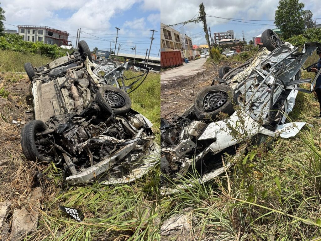 collage 2026 03 05T121104.898