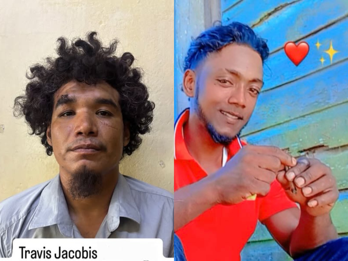 collage 2026 03 06T155956.181