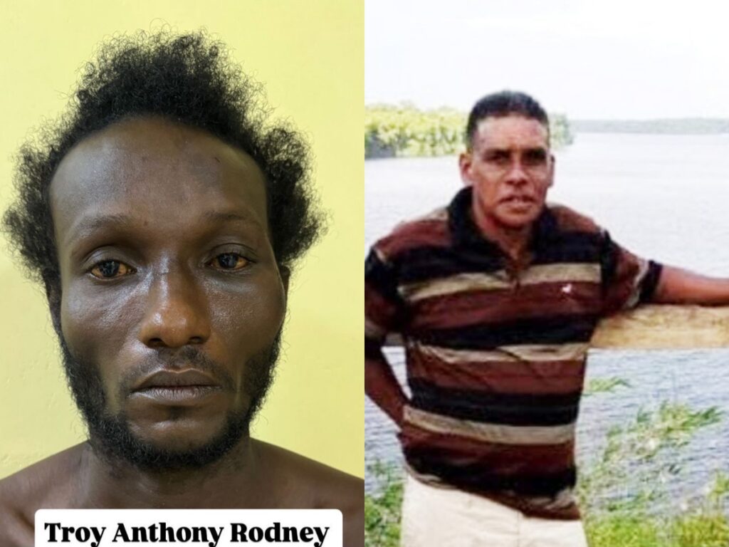 collage 2026 03 06T160318.177