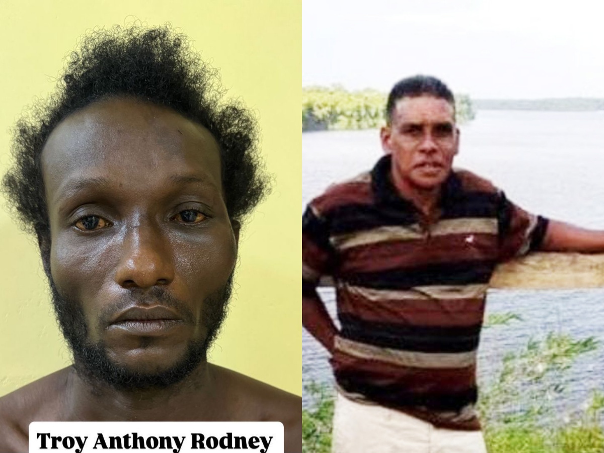 collage 2026 03 06T160318.177