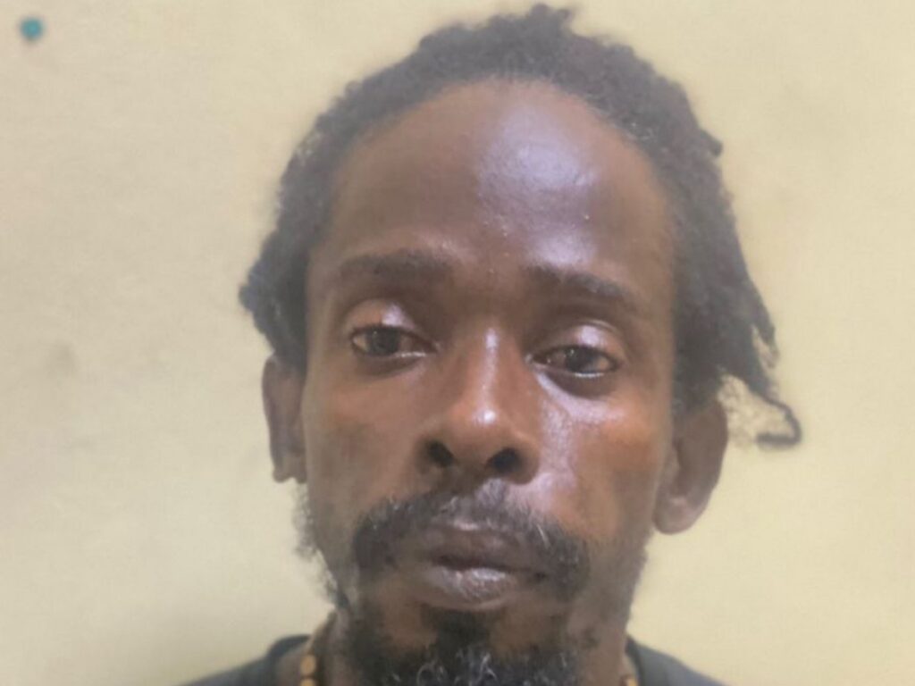 collage 2026 03 06T160639.517