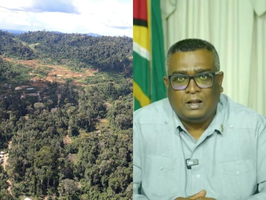 collage 2026 03 06T192952.728