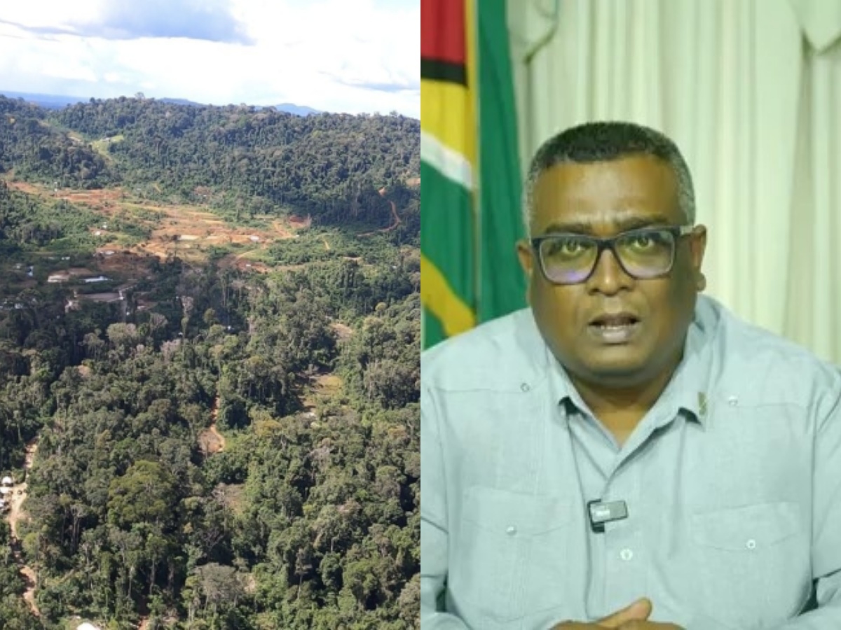 collage 2026 03 06T192952.728