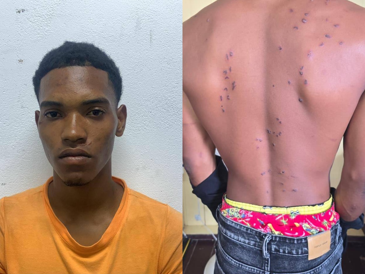 collage 2026 03 06T200657.207