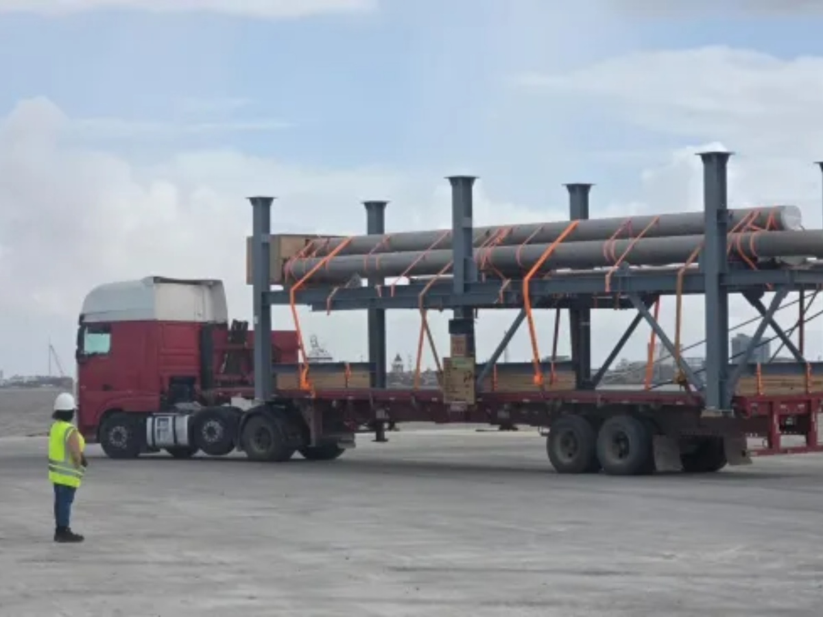 collage 2026 03 07T122229.365