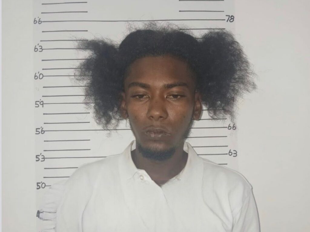 collage 2026 03 11T183757.404