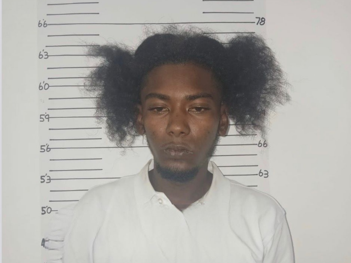 collage 2026 03 11T183757.404