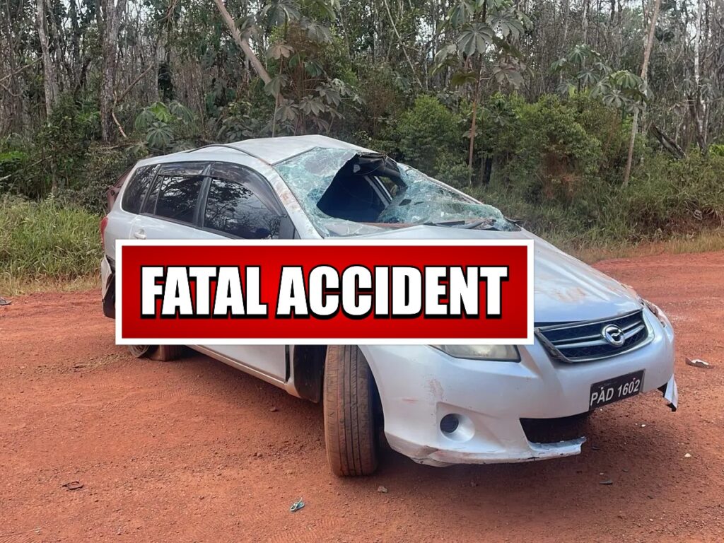 collage 2026 03 11T190610.476