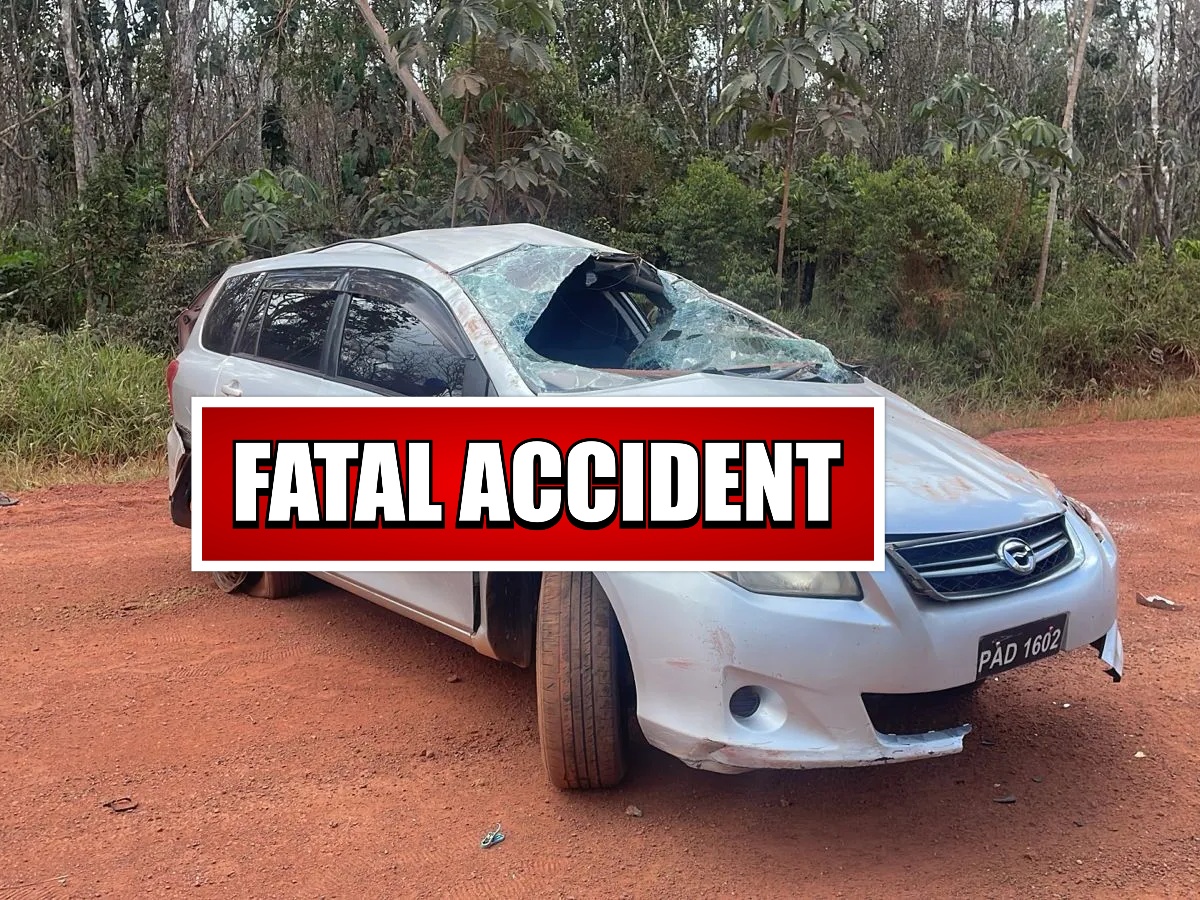 collage 2026 03 11T190610.476