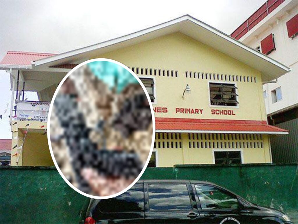 collage 2026 03 11T191312.808