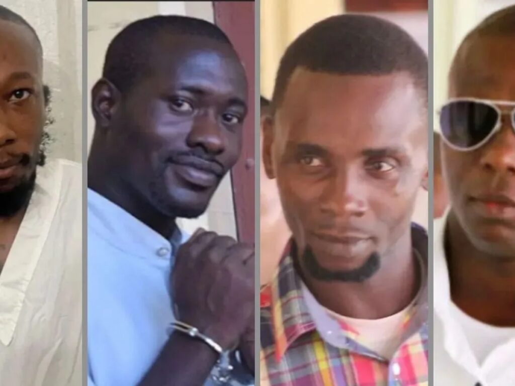 collage 2026 03 11T193728.666