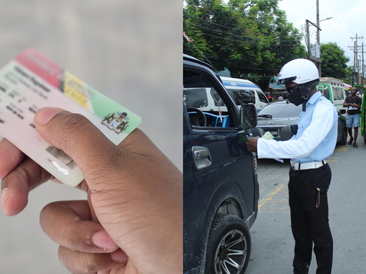 collage 2026 03 11T194829.936